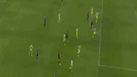 华体会体育娱乐